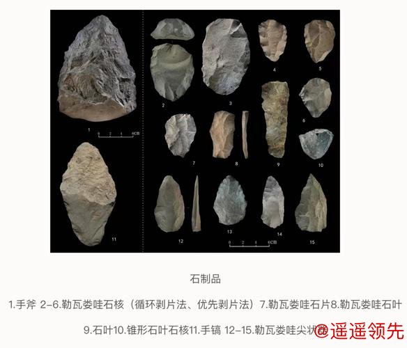 中肯联合考古发现旧石器中晚期石叶技术石制品