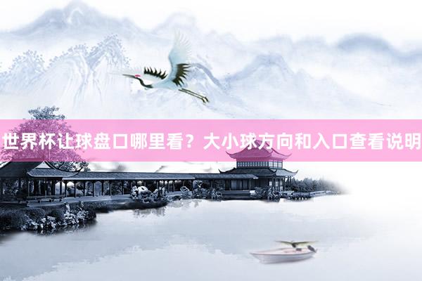 世界杯让球盘口哪里看？大小球方向和入口查看说明